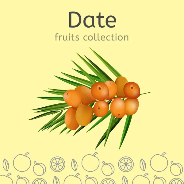 Colección de frutas Imagen — Vector de stock