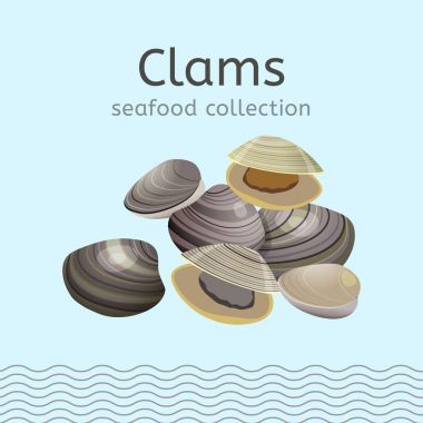 Seafood collection image clipart