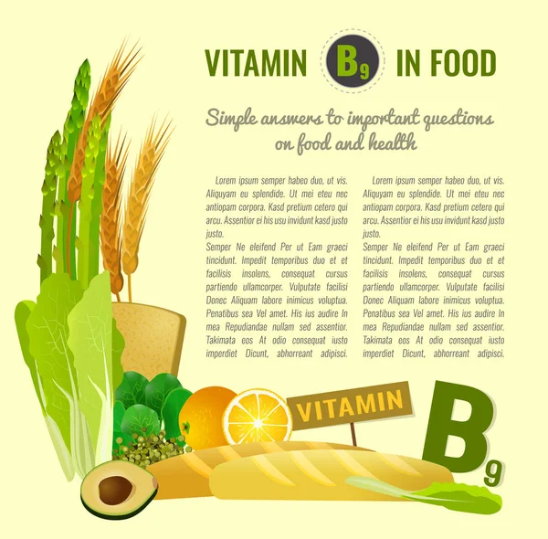 Vitamina B9 en los alimentos — Archivo Imágenes Vectoriales