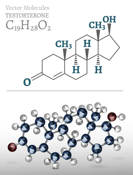 Immagine della molecola del testosterone — Vettoriale Stock