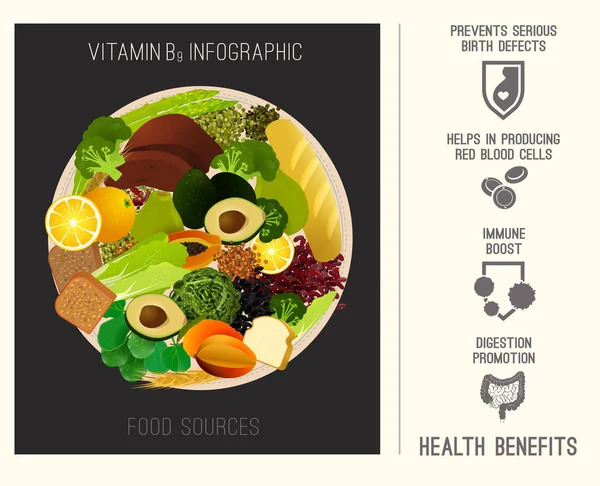 Vitamín B9 v potravinách — Stockový vektor