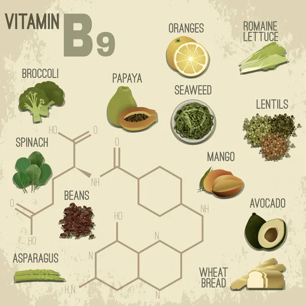 Vitamina B9 Alimentos — Vetor de Stock