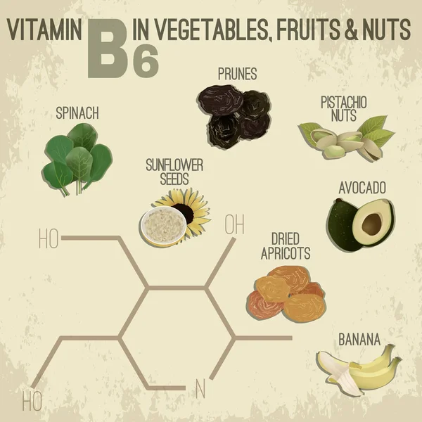 Vitamina B6 Alimentación — Vector de stock