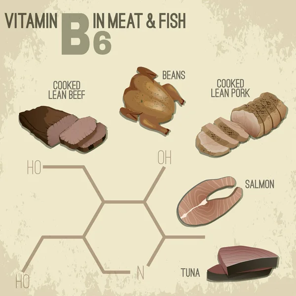 Vitamina B6 Alimentos — Vetor de Stock