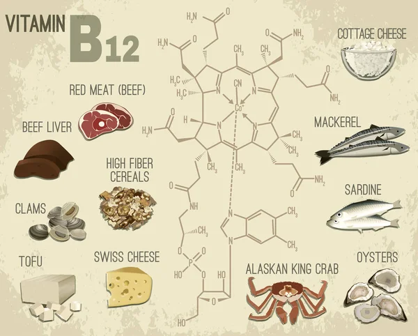 Imagen de la vitamina B12 — Vector de stock