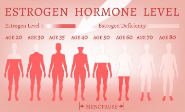 Östrojen hormonu düzeyi