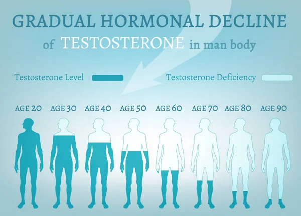 Gradual hormone decline — Stock Vector