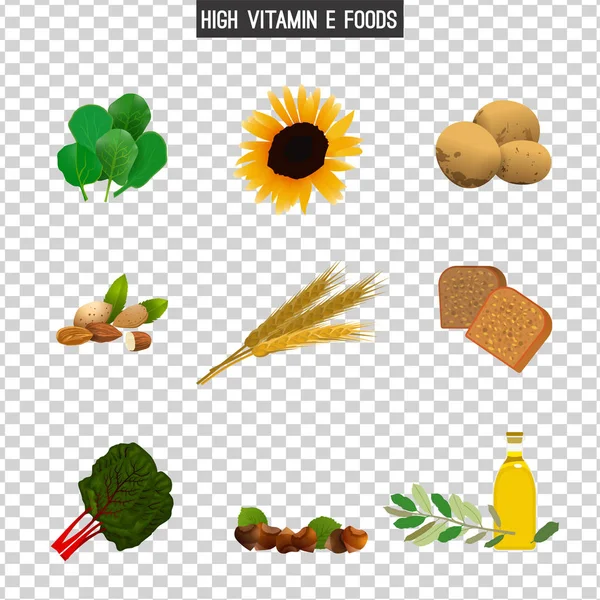 Höga E-vitamin livsmedel — Stock vektor