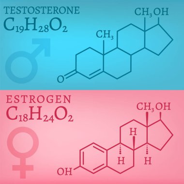 Testosterone and Estrogen clipart