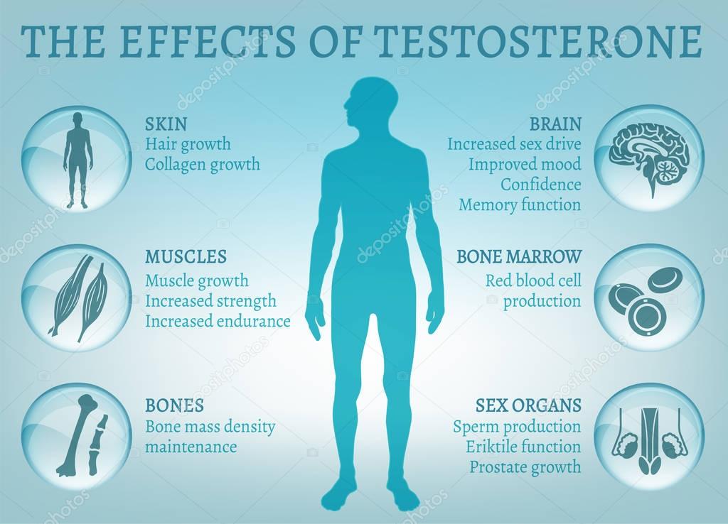 Testosterone Effects Infographics