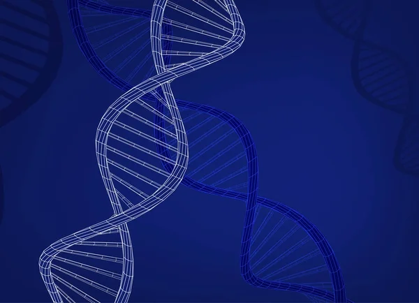 DNA molecuul afbeelding — Stockvector