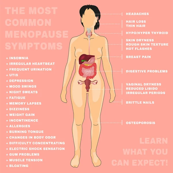 Imagem da Menopausa vetorial —  Vetores de Stock