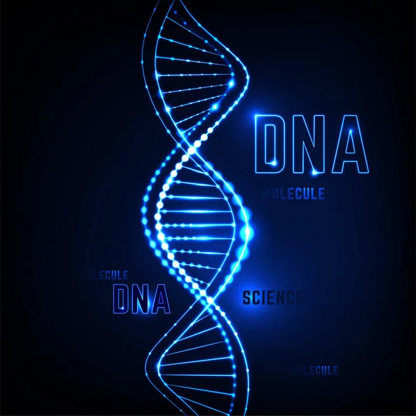 DNA molecuul afbeelding — Stockvector