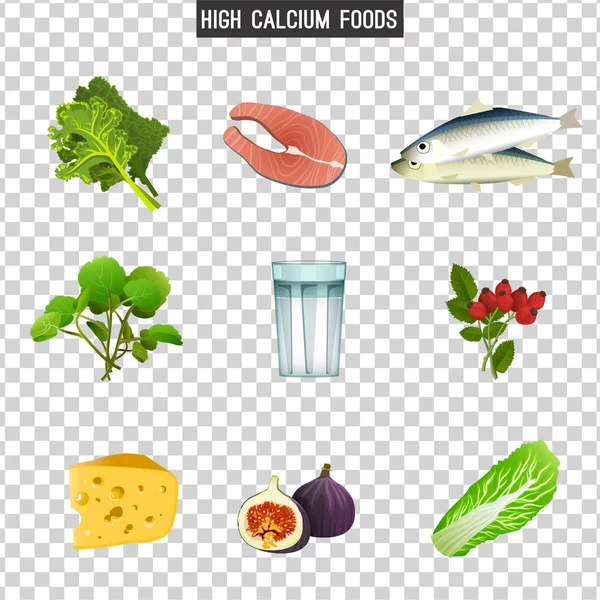 Élelmiszerek magas kalcium — Stock Vector