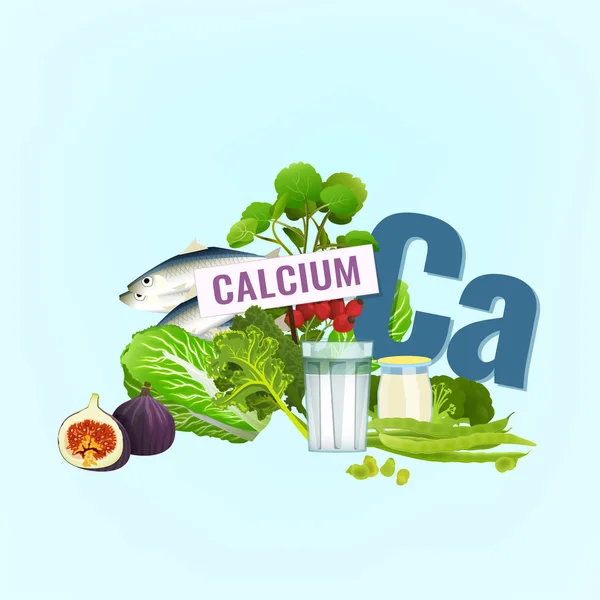 High Calcium Foods — Stock Vector