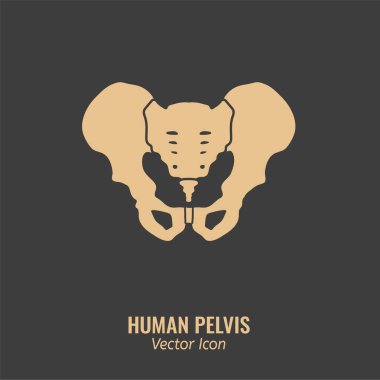 Human Pelvis Icon clipart