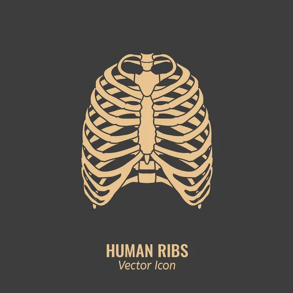 Menselijke ribben pictogram — Stockvector