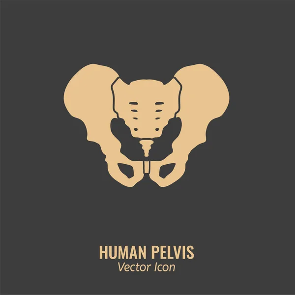 Human Pelvis Icon — Stock Vector