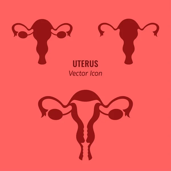 Uterus vector icon — Stock Vector