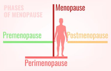 Menopoz Infographic aşamaları