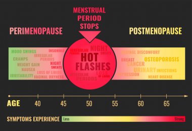 Menopoz Infographic aşamaları