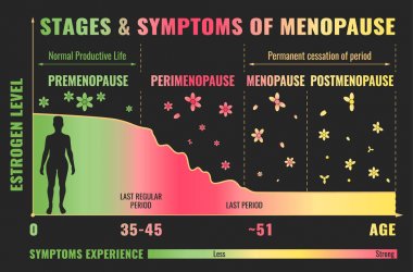 Stages of Menopause Infographic clipart