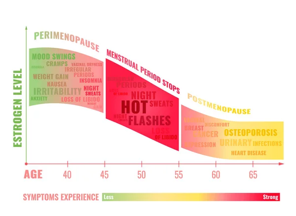 Stadier av klimakteriet Infographic — Stock vektor