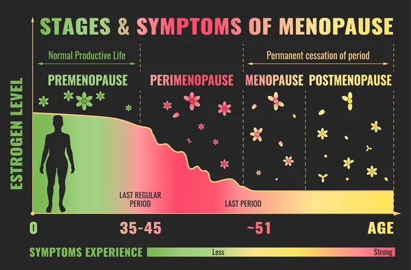 Etapas de la Menopausia Infografía — Vector de stock