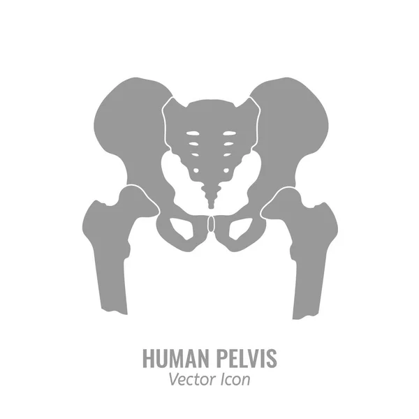 Icono de pelvis humana — Vector de stock