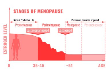 Menopoz Infographic aşamaları