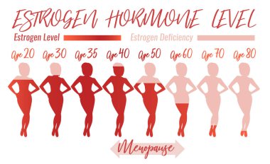 Östrojen hormonu düzeyi