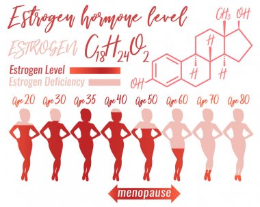 Östrojen kadın Infographic