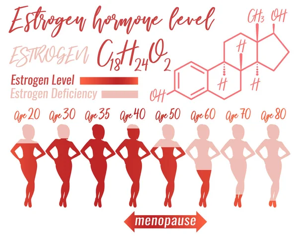 Estrogen žena infografika — Stockový vektor