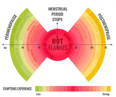 Stages of Menopause Infographic clipart