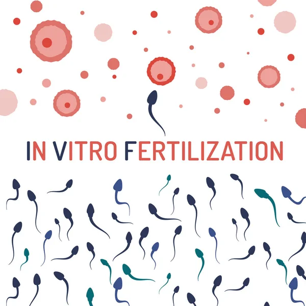 In vitro fertilisation concept — Stock Vector