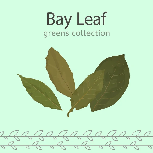 Bay Leaf kuva — vektorikuva