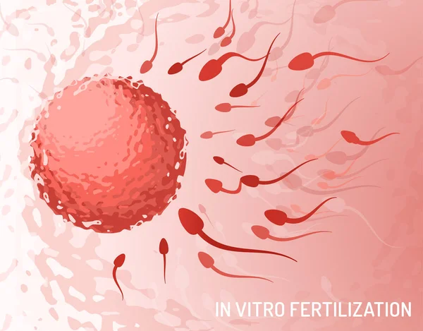 Concepto de fertilización in vitro — Archivo Imágenes Vectoriales