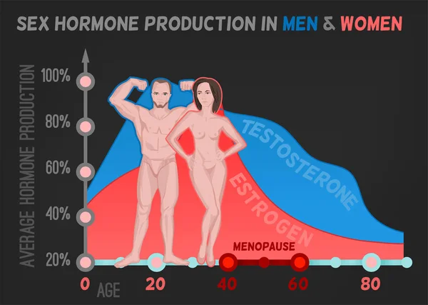 Producción de hormonas sexuales — Archivo Imágenes Vectoriales