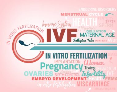 İn vitro döllenme poster