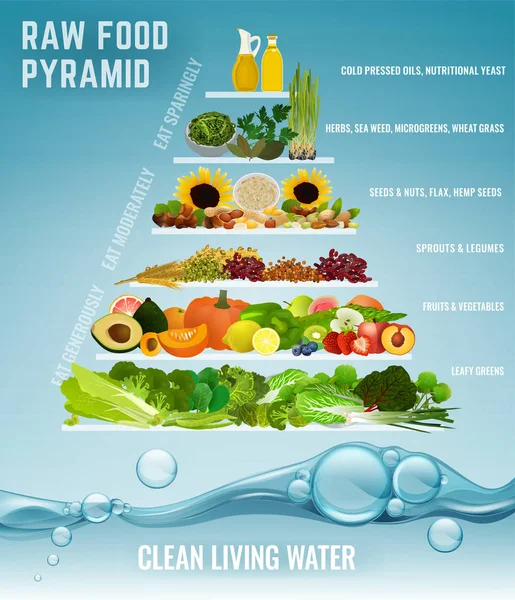 Raw food pyramid — Stock Illustration Raw food pyramid Royalty Free Stock Illustrations