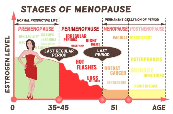 Estágios e sintomas da menopausa —  Vetores de Stock