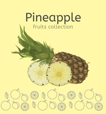 Ananas vektör görüntü