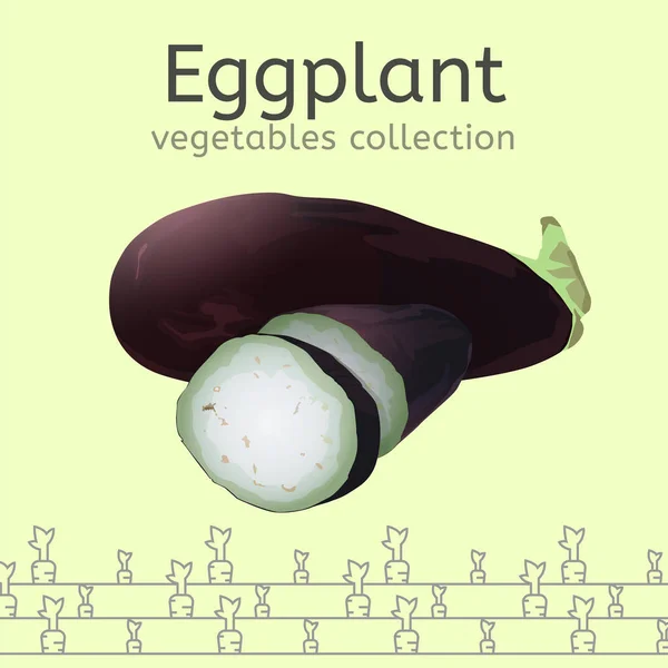 Äggplanta vektorbild — Stock vektor