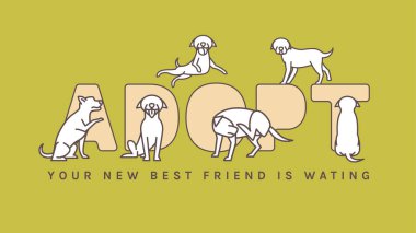 Köpek Evlat Edinme Durumu Posteri