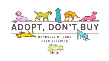 Köpek Evlat Edinme Posteri