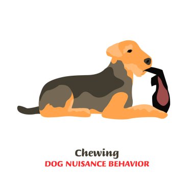 Köpek davranış problemi simgesi