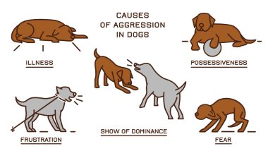 Dog Behavior Poster 2-31