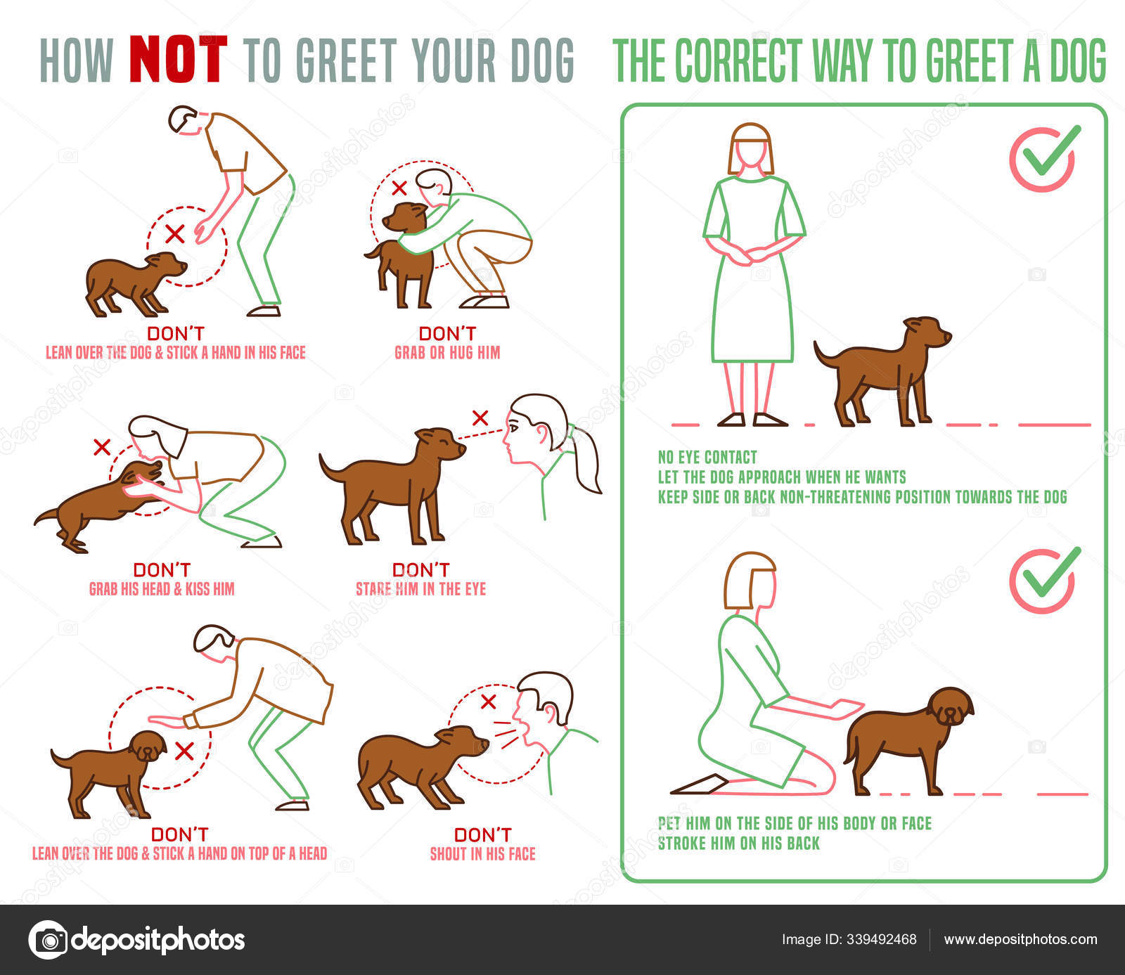 Is My Puppy Stressed