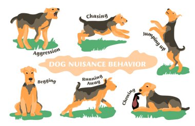 Dog Behavior Problems Icons Set clipart