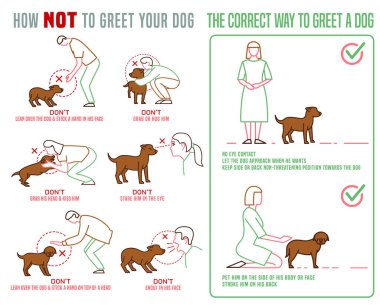 Köpek Selamlama Posteri
